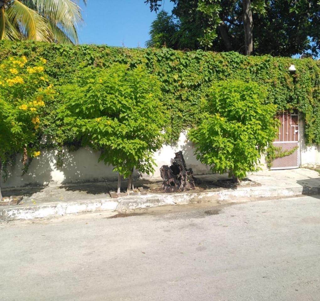 Willa Bonita Casa A Dos Cuadras Del Mar Playa del Carmen Zewnętrze zdjęcie